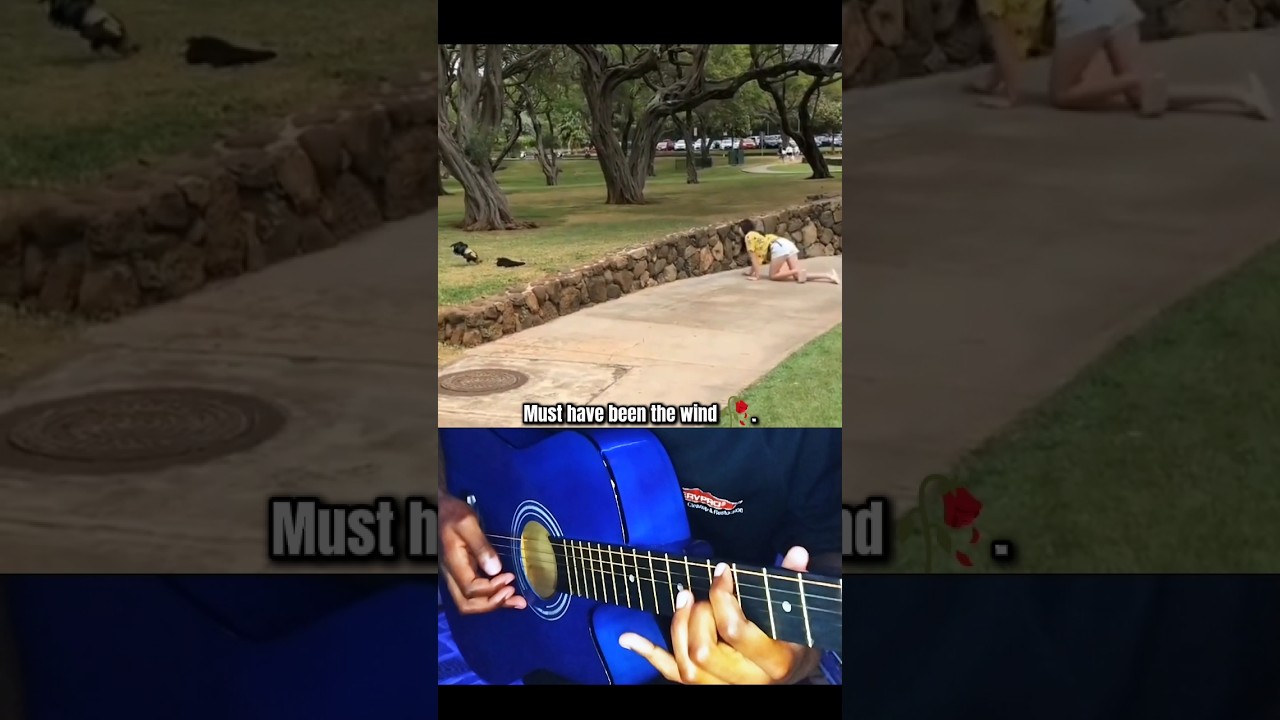 Must Have Been The Wind. #guitar #shorts #meme