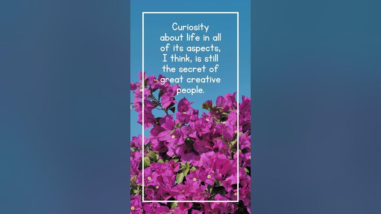 Daily Motivational Quote Of The Day YouTube daily-motivational-quote-of-the-day-youtube