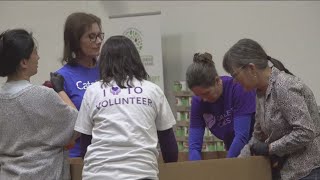 Give back this holiday season: volunteer opportunities in San Diego