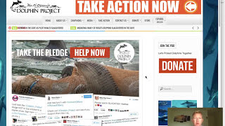 Animal Rights Hypocrisy and Fanaticism Too Extreme?