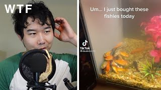 MYSTERIOUS GOLDFISH DYING IN NEW FISH TANK | Fish Tank Review 107