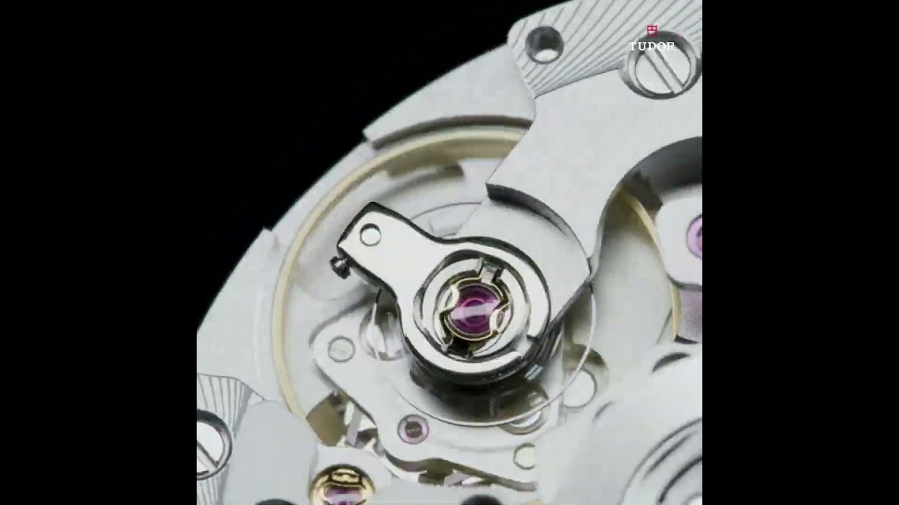 TUDOR Black Bay Chrono