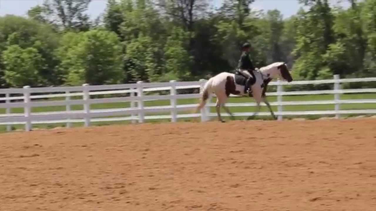 IGK Equestrian Horse Arena Footing Installation