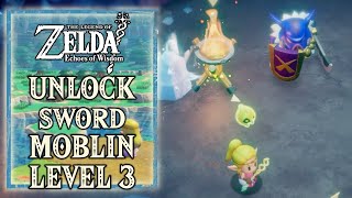 Zelda Echoes of Wisdom - Learn Strong Melee Echo (Sword Moblin Level 3)