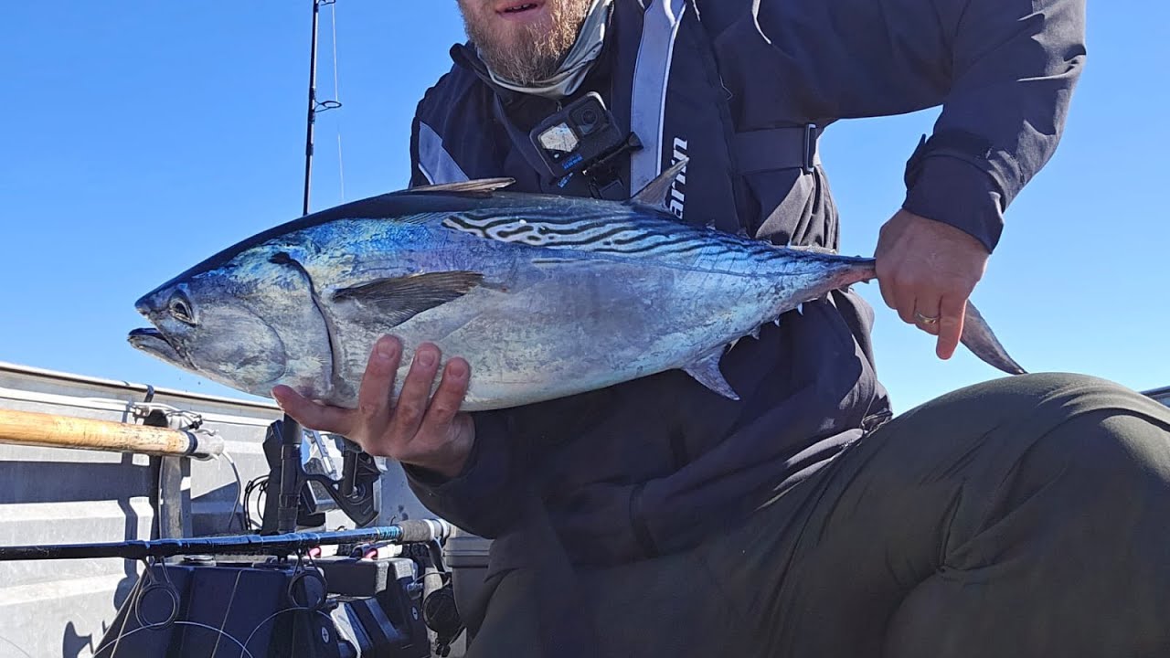 Noosa Offshore Fishing - My First Mack Tuna