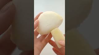 Make Your Own CatRat Squishy