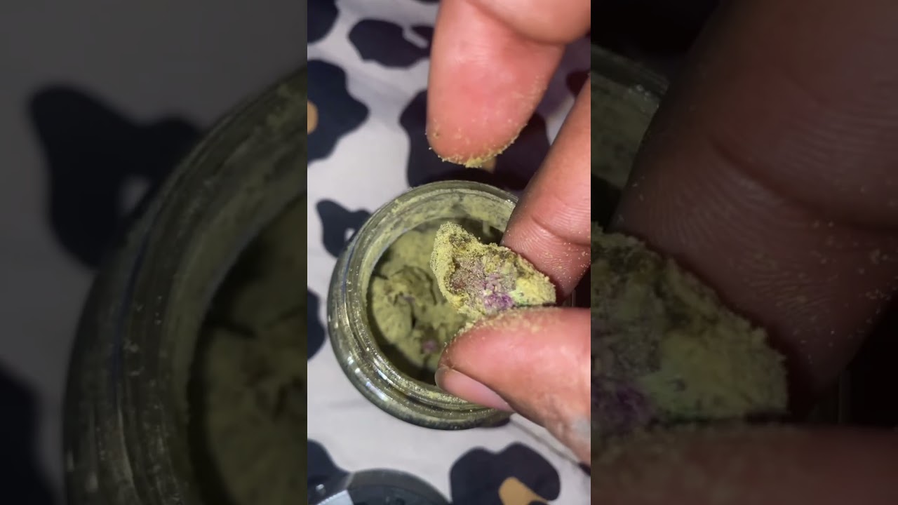 Zkittlez Moonrocks 🪸 