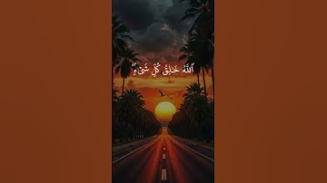 القران الكريم #القزابري #دويتو #الرحمن #duet #المصحف #حالات_واتس #الطحان #تيك_توك #المراه