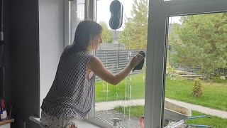 Cleaning Windows