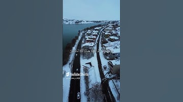 تلاوه من سوره القصص بصوت القارئ محمد العتريس #اكسبلور #قران_كريم