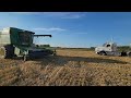 Sunk The Grain Truck. Combining Barley!