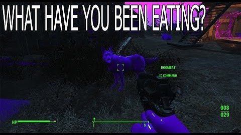 WHY SO PURPLE? Fallout 4 Texture Bug