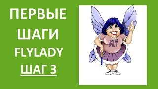 : FlyLady:  3 -  .      . ( )