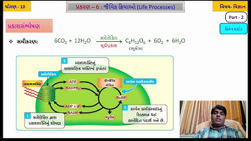 Std 10 Science | Chapter - 6 | જૈવિક ક્રિયાઓ | Part - 2