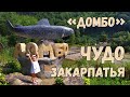 Где поесть вкусную форель и осетра на Закарпатье! Кафе "Домбо" фермерское хозяйство!