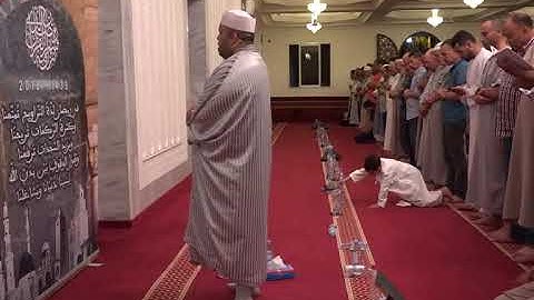 سورة المنافقون برواية سيدي قالون القارئ بلال بن محمود حفظه الله