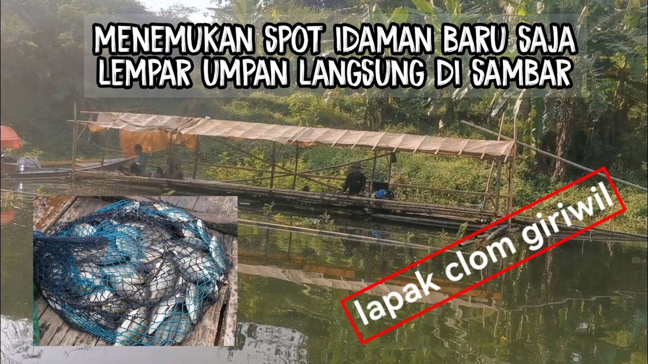 menemukan spot idaman..!! baru saja lempar umpan langsung di sambar || mancing jatiluhur terbaru