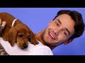 liam payne plays with puppies