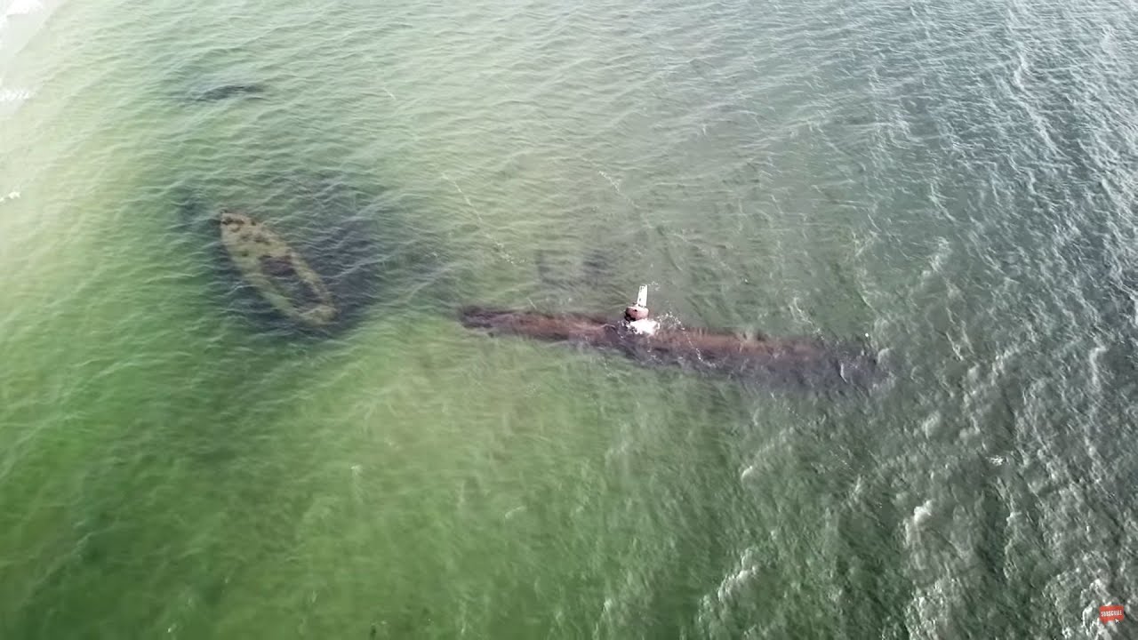 Nurkowanie ORP Kujawiak oraz podwodne życie Zatoki Puckiej 4K