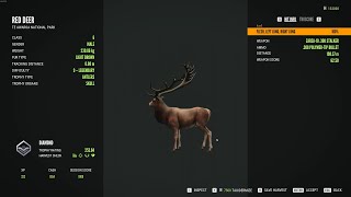 Red deer - 9/Diamond - theHunter Call of the Wild 2024 05 30