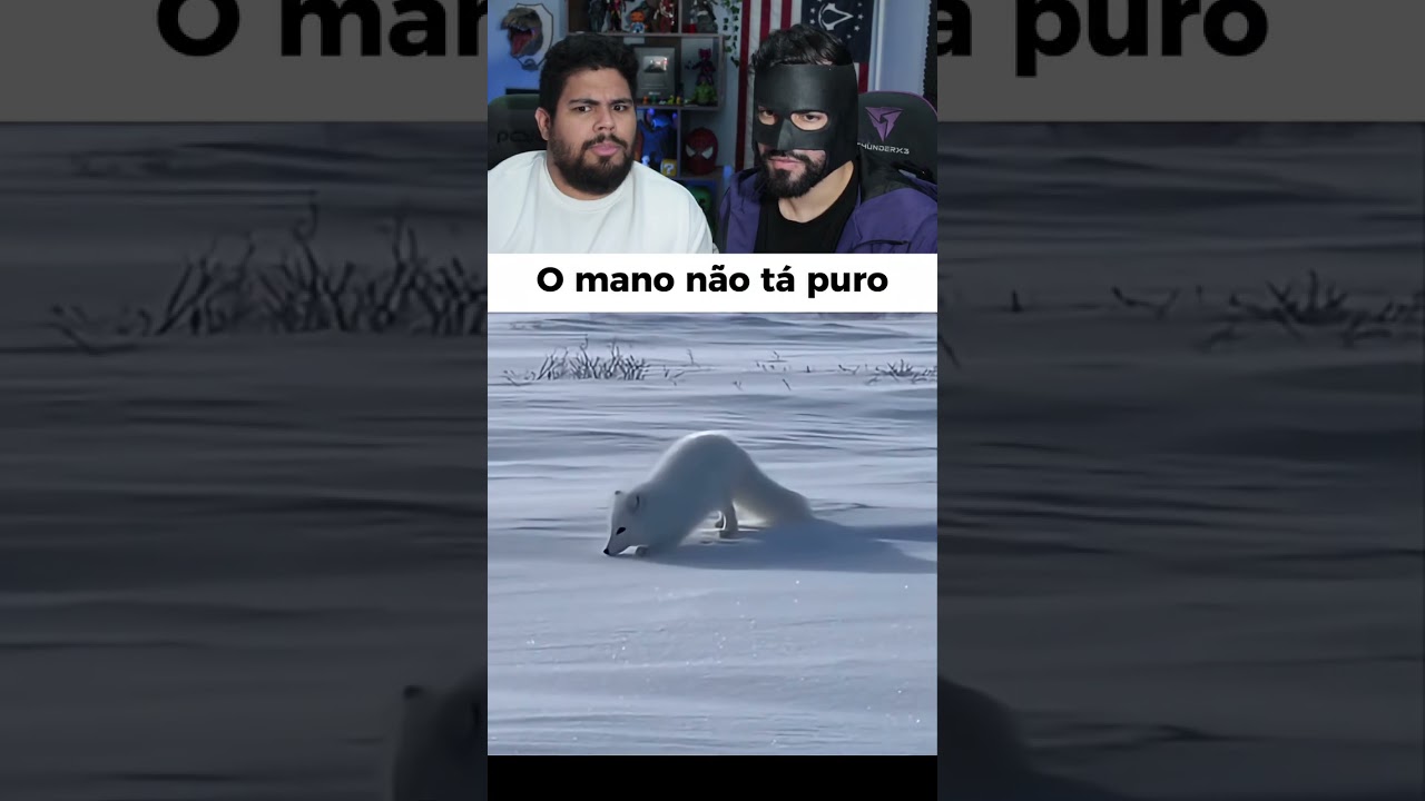 NINGUÉM TA PURO!