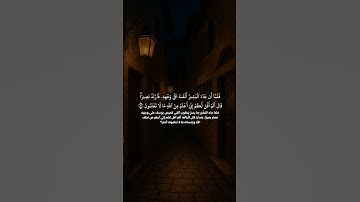 القارئ سعود الفایز#المصحف #الرحمن#راحة_نفسية #البرزخ #اكسبلور#تيك_توك#الطحان  #دويتو#لايك#القزابري