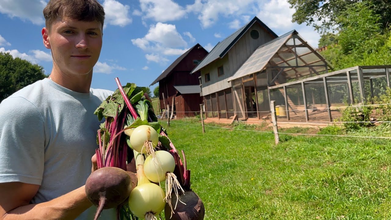 Peaceful Life on a Small Farm: Eggs, Honey and Fresh Vegetables