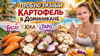 I've never eaten potatoes like this | Bata, Yuka, Yams, Taro | Which is tastier