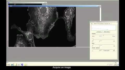 Using a QImaging Rolera EM-C2 EMCCD Camera in QCapture Suite Software