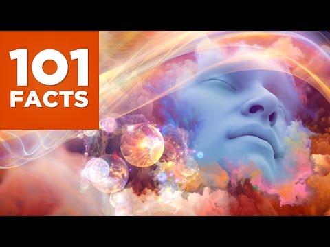 101 Facts About Dreams