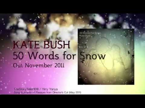 Kate Bush 50 Words for Snow - Teaser - Brand new A...
