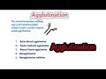 Types of agglutination reactions || agglutination reaction in hindi