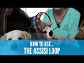 How to use the Assisi Loop (How To 影片系列- Assisi Loop  )