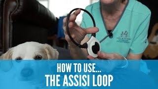 How to use the Assisi Loop (How To 影片系列 Assisi Loop  )