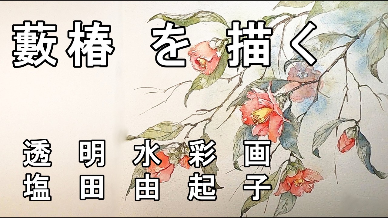 【透明水彩画】藪椿を描く