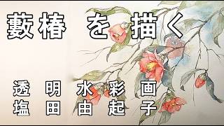 Transparent Watercolor Painting] Painting a Japanese Camellia
