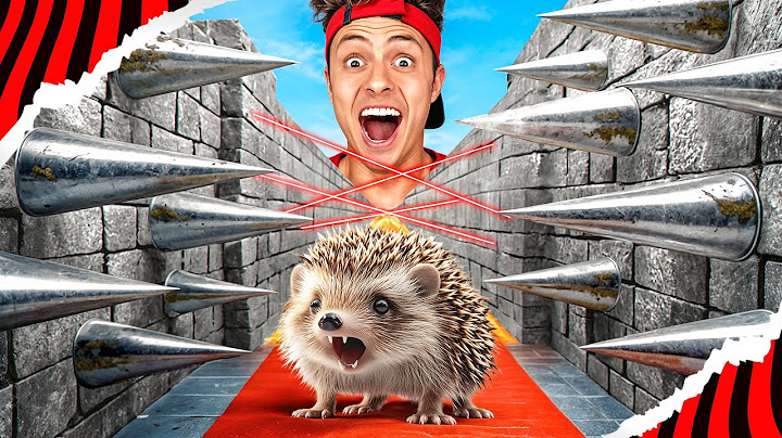 CONSTRUÍ UM LABIRINTO EXTREMO PARA O MEU PORCO ESPINHO! *Spike