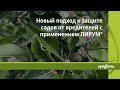 Новый подход к защите садов от вредителей с применением ЛИРУМ®