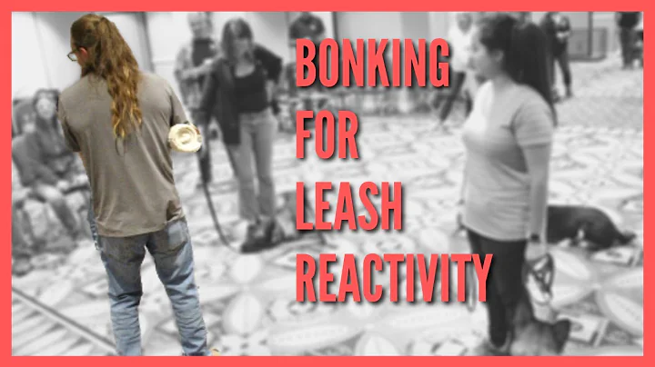 Bonking for Leash Reactivity - Jeff Gellman Seminars