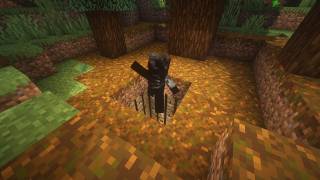 I Got Trapped By Minecrafts Smartest Trapper