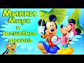 Микки Маус Волшебная фасоль. Дисней Disney аудио сказка Микки и бобовый стебель. Аудиосказки.