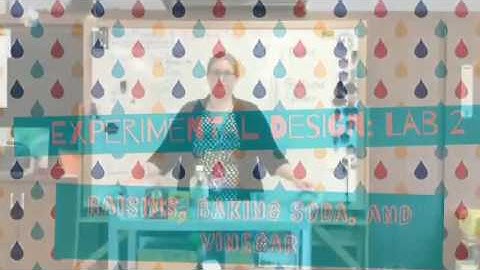 Experimental Design Lab 2