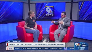 Mutt Monday: New World Screwworm tips to keep your pet safe