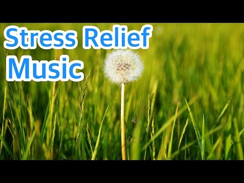 9 HOURS of Mindfulness Relaxing Piano Music for Stress Relief. Soothing Background Music