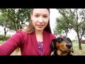 Pri Kari, hundo kaj akĉento en Esperanto