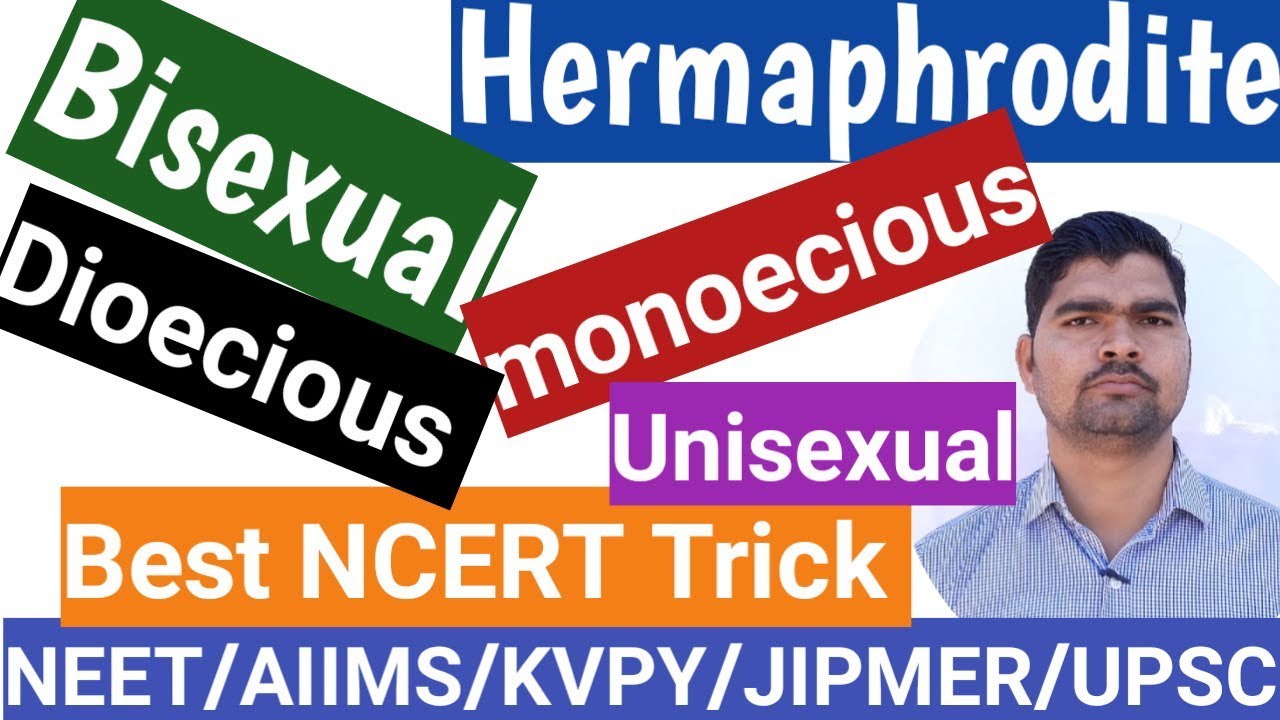 Bisexual hermaphrodite unisexual Bisexual/hermaphrodite/monoecious