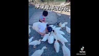 鴨寮故事館\/宜蘭親子景點\/五結鄉