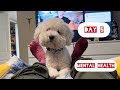 Day 5: Not feeling the best. Lets talk about simple pleasures