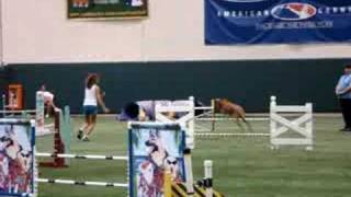Celebrity Ruby - EXC B JWW - Blitzen - August 24, 2008 Wealth