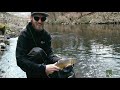 Bachforellen angeln am fluss mit zite teamangler moe  gezieltes forellen spinnfischen im bach